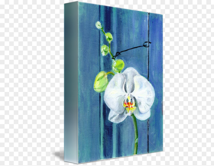 Orchid White Floral Design Acrylic Paint Picture Frames Modern Art Flowering Plant PNG