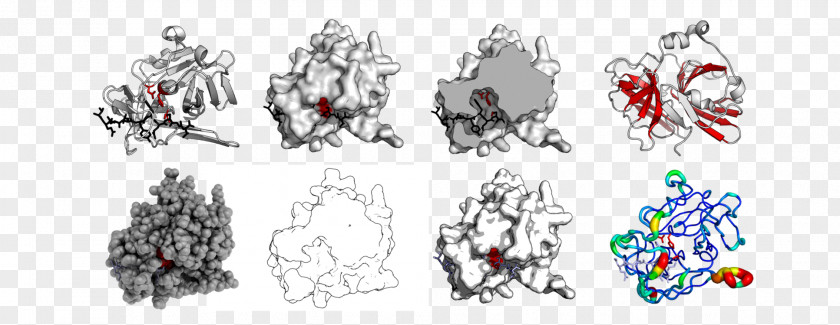 PyMOL Protein Structure Secondary PNG