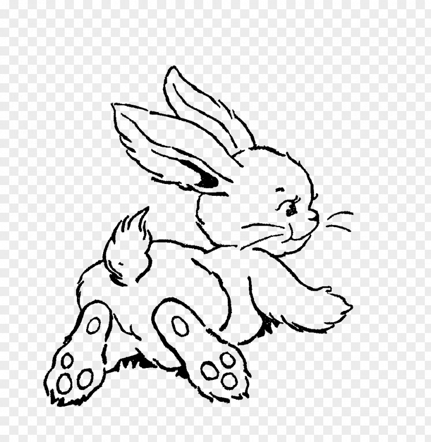 Rabbit Line Art Easter Bunny Drawing Clip PNG