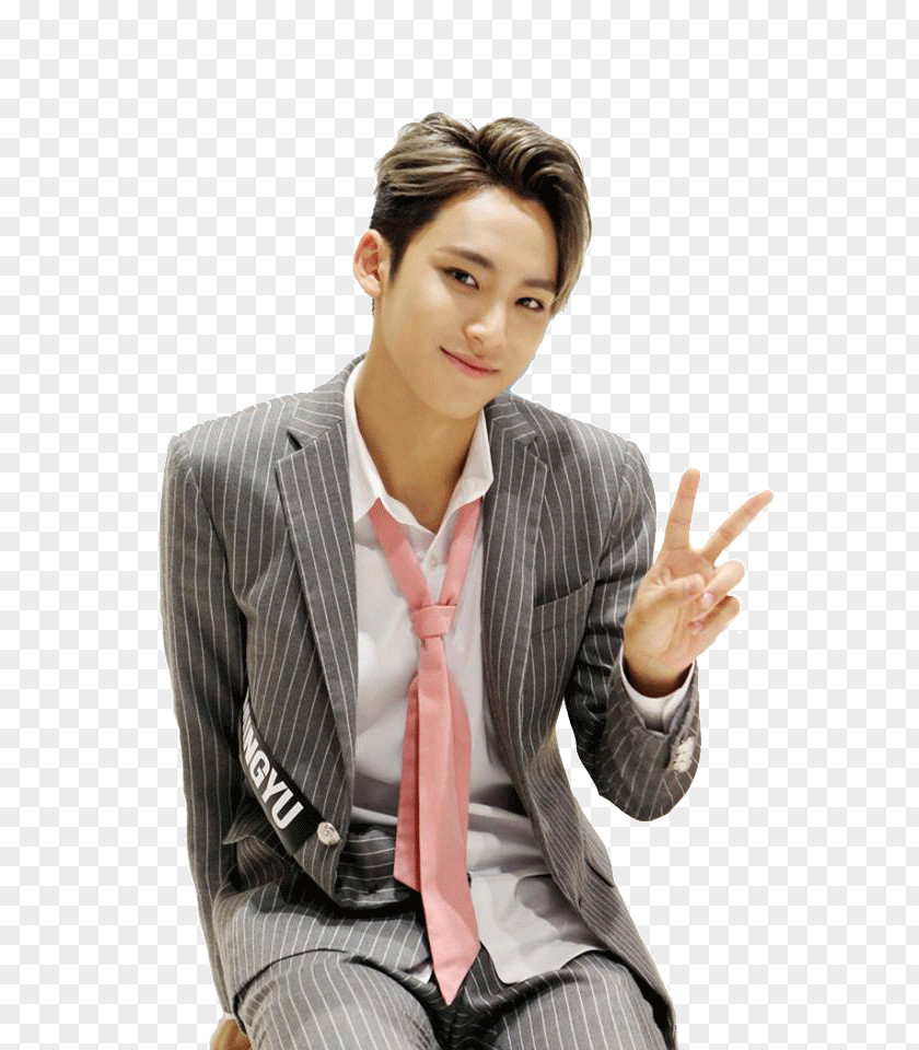 Seventeen Kim Mingyu Mansae K-pop Male PNG