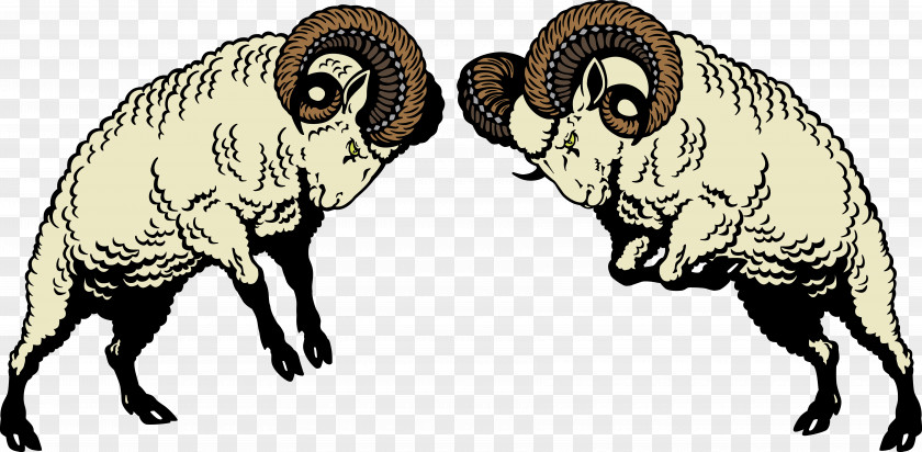 The Year Of Sheep Ram Fighting Clip Art PNG