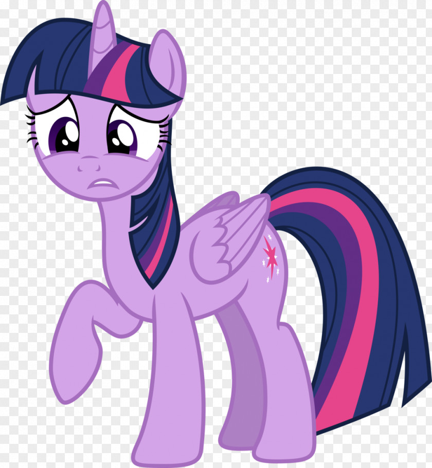Twilight Sparkle Pinkie Pie Rainbow Dash Applejack Rarity PNG