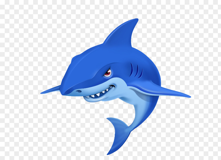 Whale Shark Cartoon Drawing Illustration PNG