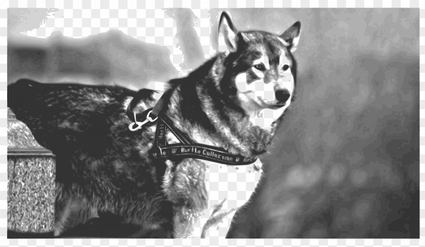 Big Dog Siberian Husky Sakhalin Saarloos Wolfdog Czechoslovakian Alaskan Malamute PNG