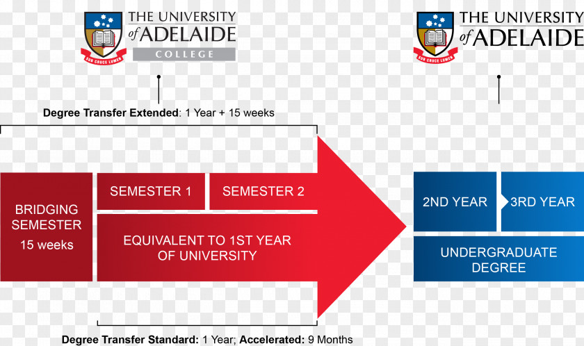 College Certificate University Of Adelaide Bachelor's Degree Macomb Community PNG
