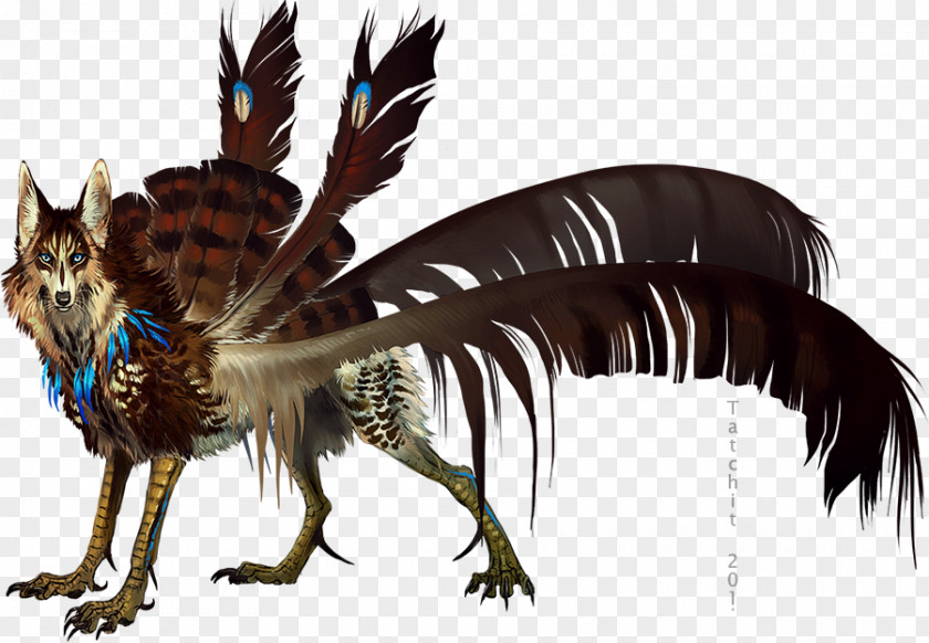 Feather DeviantArt Gray Wolf PNG