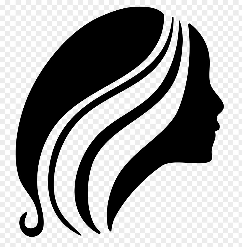 Hair Beauty Parlour Artificial Integrations Logo PNG