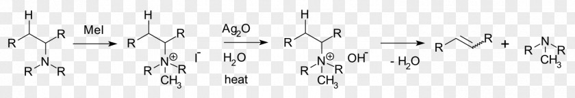 Hofmann Elimination Amine Reaction Alkene Chemical PNG