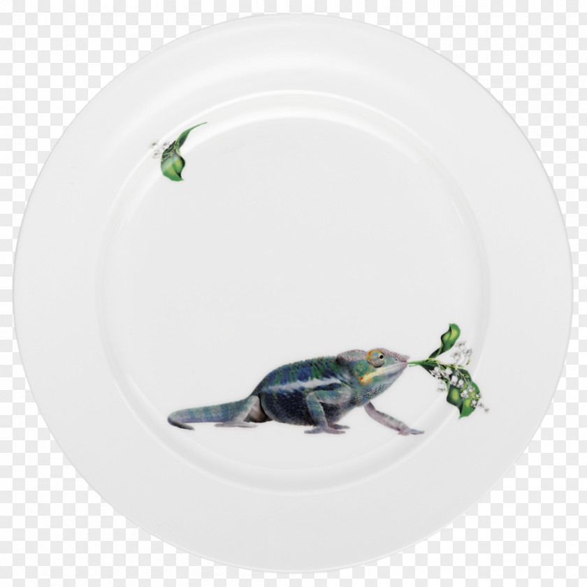 Chameleon Lou Rota Tableware Plate Dish PNG
