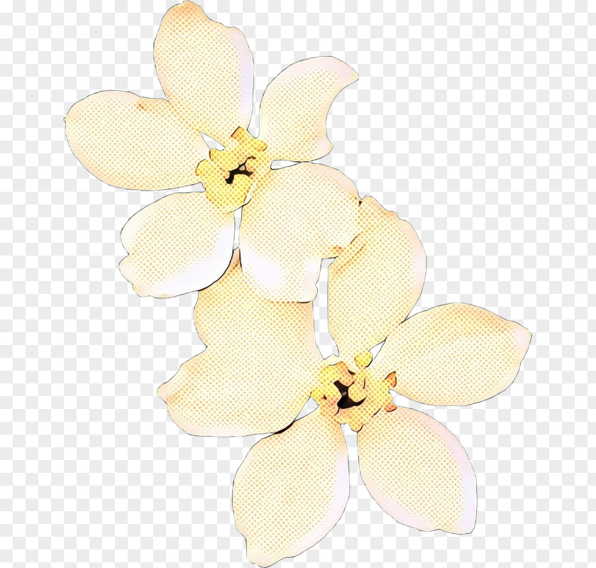 Cut Flowers Hair Tie Moth Orchids Petal PNG