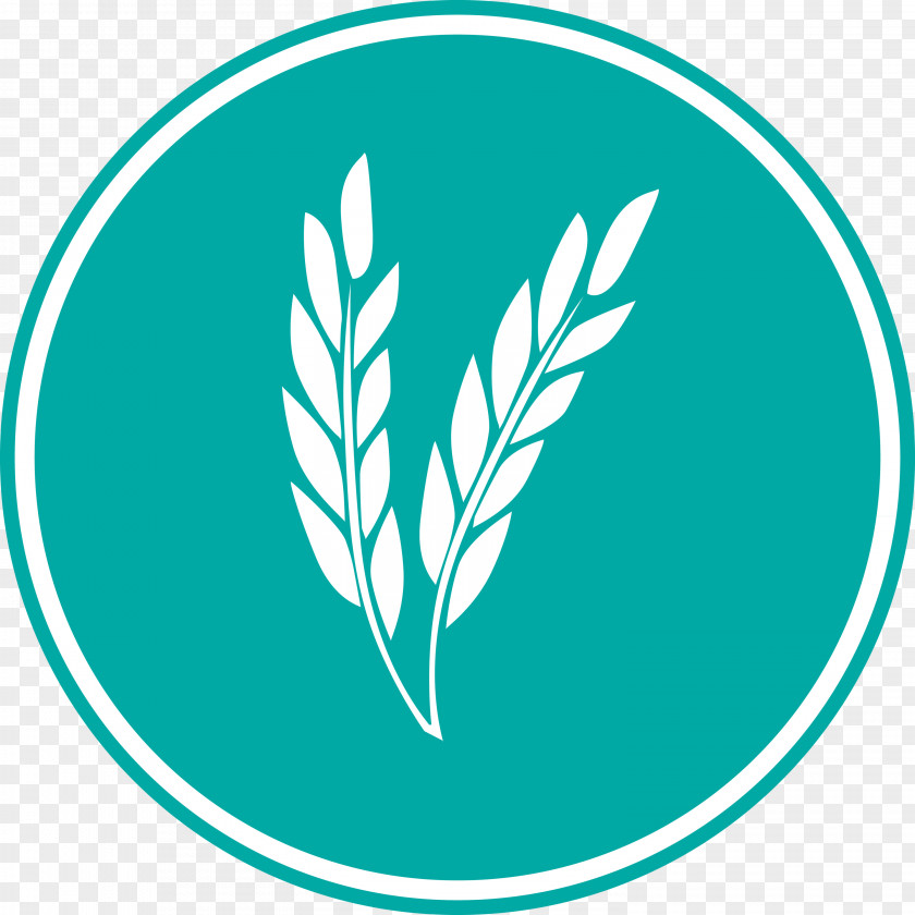 Oats Wheat Logo PNG