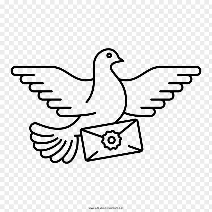 Carrier Pigeon Jett Transprot Business Drawing Homing Paper PNG