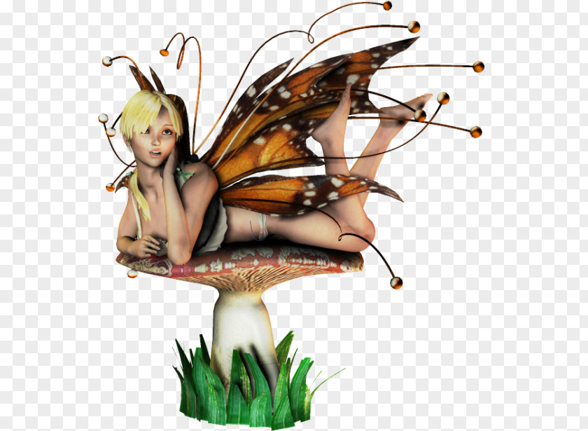 Fairy Insect PNG