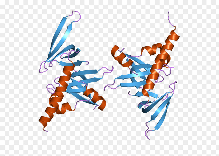 Proteinsparing Modified Fast Gem-associated Protein 6 7 Survival Of Motor Neuron Gene PNG