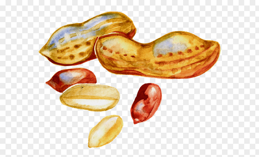 Ramadan Filter Peanut Stock Photography Pistachio PNG