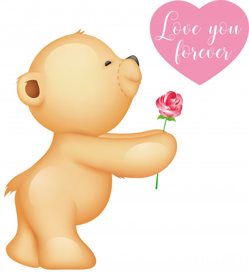 Teddy Bear PNG