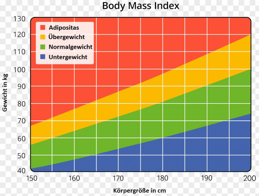 BMI Body Mass Index Human Weight Loss Stock Photography PNG