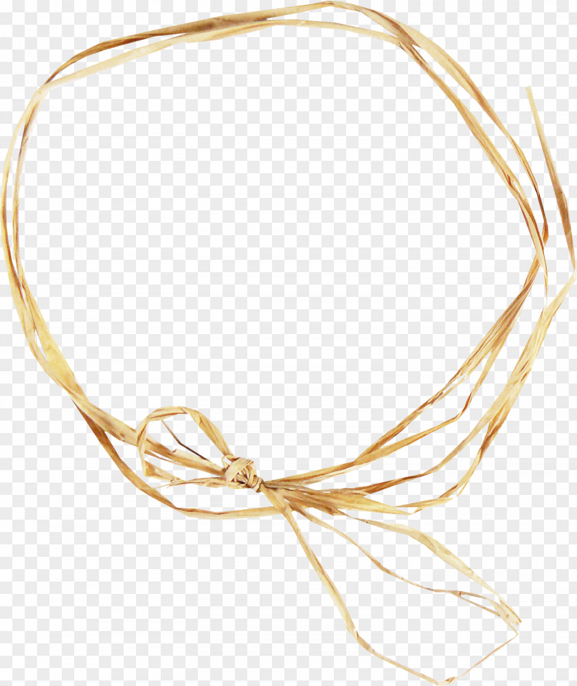 Brown Hay Ring Bacillus Icon PNG