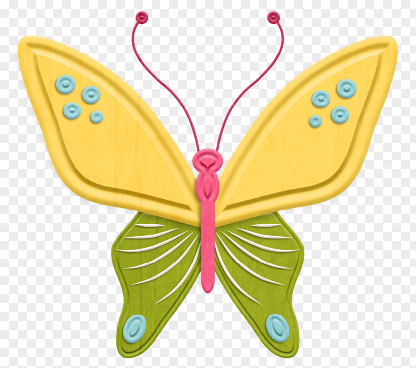Butterfly Talent Academy Monarch Brush-footed Butterflies And Moths Drawing Clip Art PNG