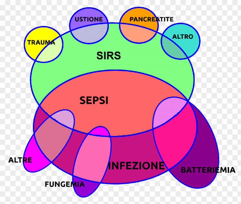 Cochlicella Acuta Systemic Inflammatory Response Syndrome Sepsis Infection Bacteremia Disease PNG