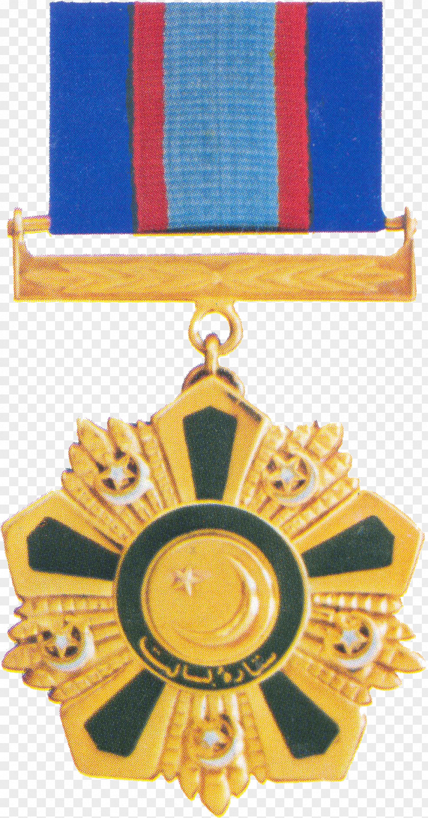 Medal Pakistan Air Force Sitara-e-Jurat Captain Army Officer PNG