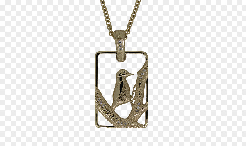 Necklace Charms & Pendants Locket Jewellery Chain PNG