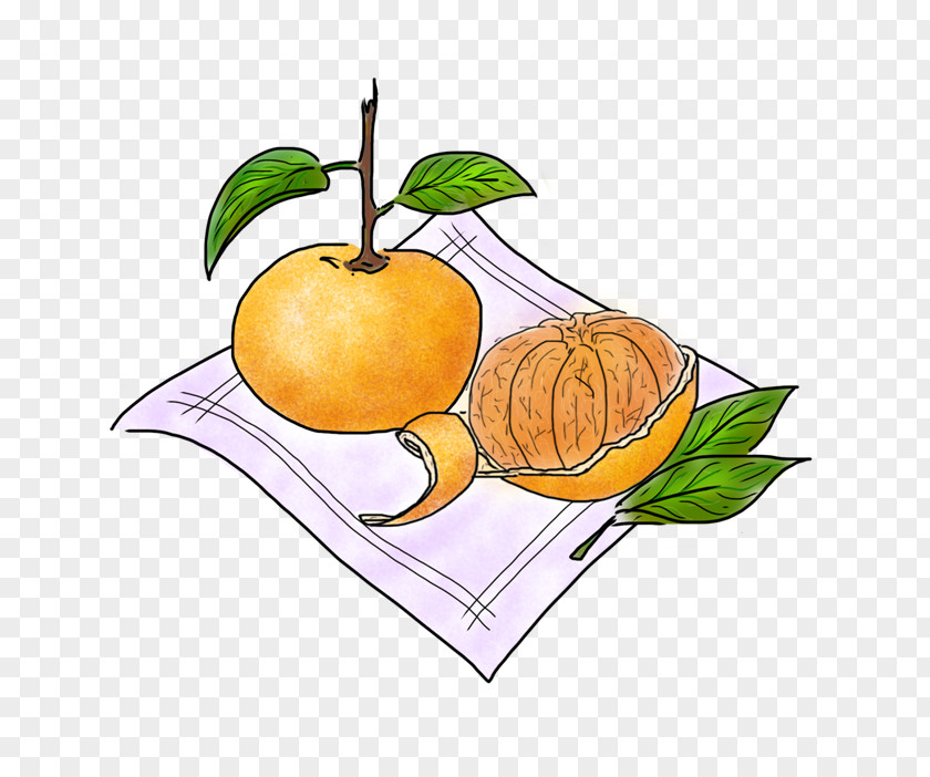 Tangerine Vegetarian Cuisine Food Balsamic Vinegar Apple Fruit PNG