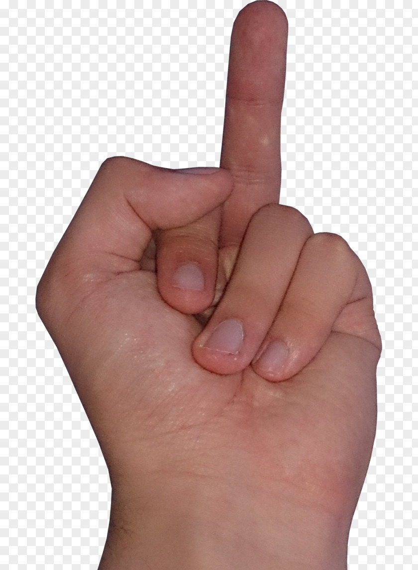 Fingers Middle Finger Hand Thumb Arm PNG