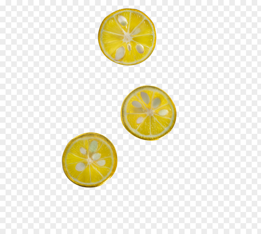 Lemon Citrus Junos Kōchi Prefecture Fruit Ponthier PNG