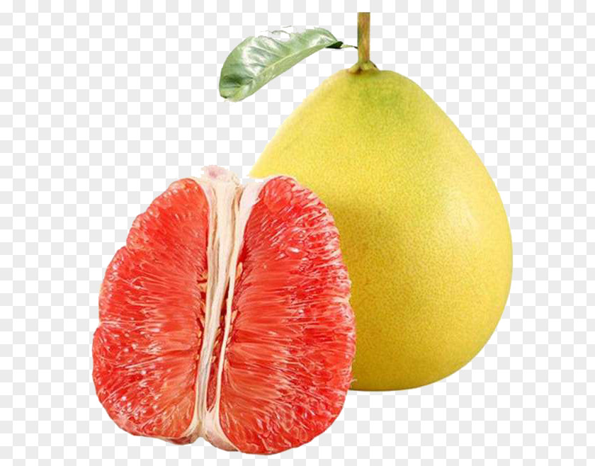 Red Grapefruit Fruit Pomelo Juice Lemon Citron PNG