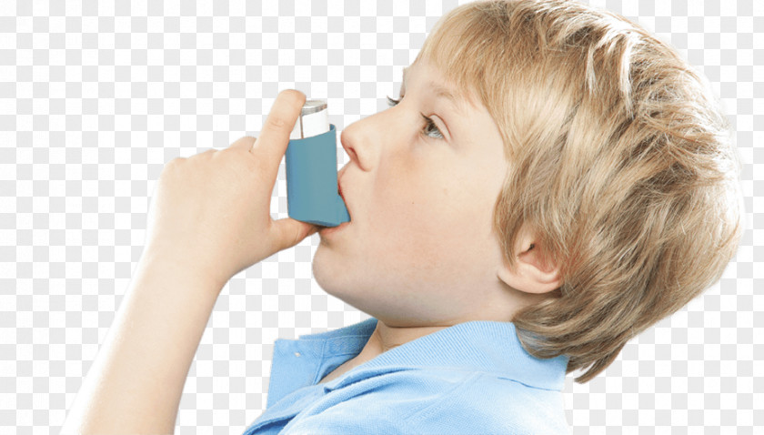 Allergy World Asthma Day Respiratory Disease PNG