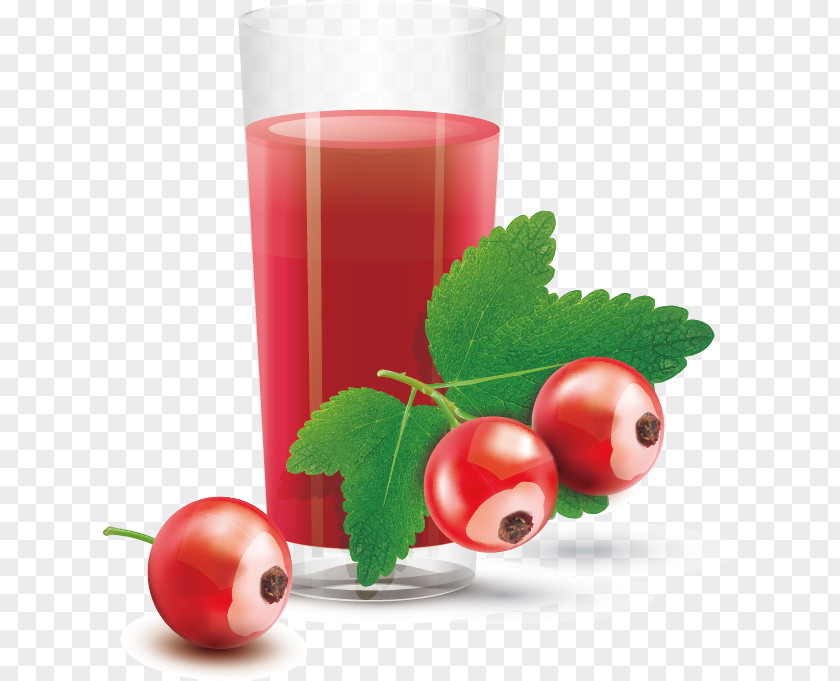 Fruit Juice Tomato Cranberry PNG