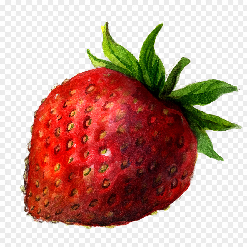 Strawberry Painted Drawing Berry Painting Illustration PNG