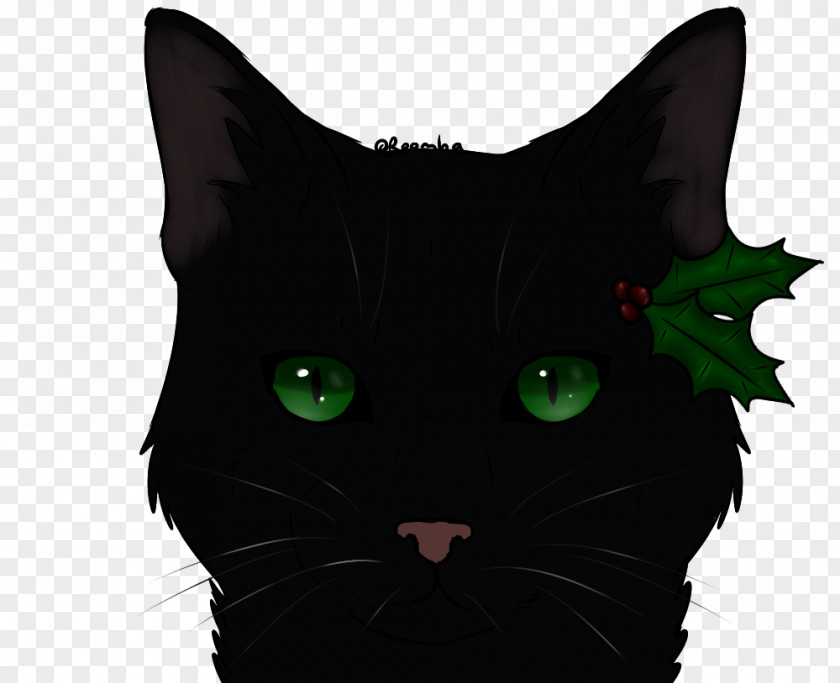 Cats And Mothers Bombay Cat Korat Mammal Whiskers Black PNG