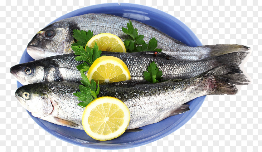 Fish Sardine Pacific Saury Products Soused Herring Oily PNG