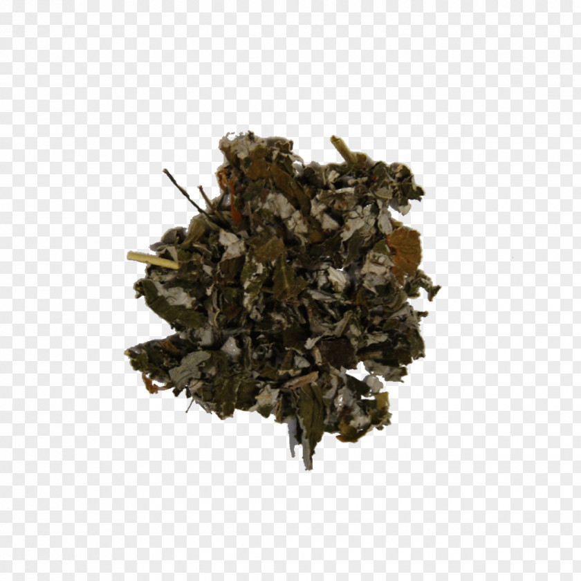 Raspberry Leaf Red Vegetable Herbal Tea PNG