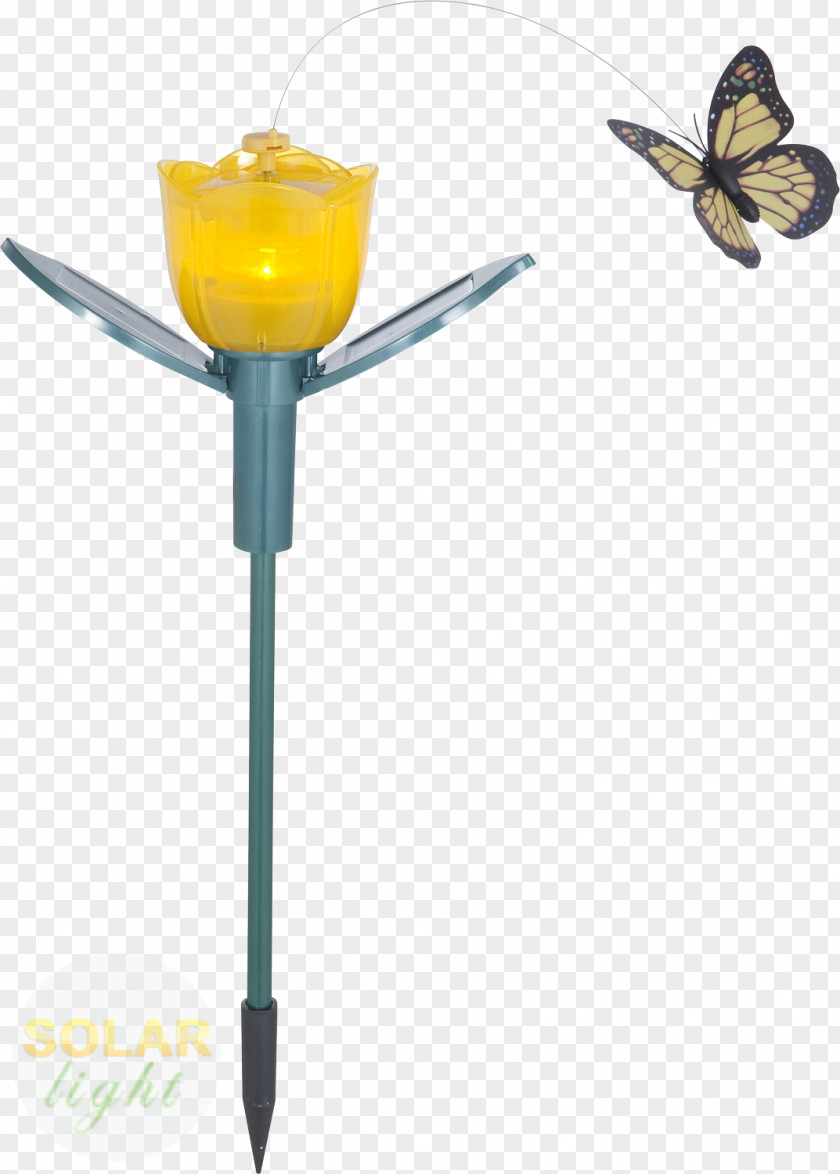 Solar Butterflies And Moths Light Fixture Lamp 2M Membrane PNG