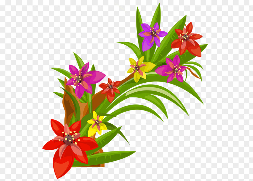 Tropical Flower Pink Flowers Stock Photography Clip Art PNG
