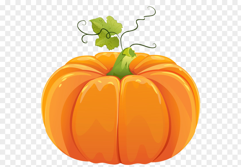 Watercolor Pumpkin Cucurbita Pepo Calabaza Clip Art PNG