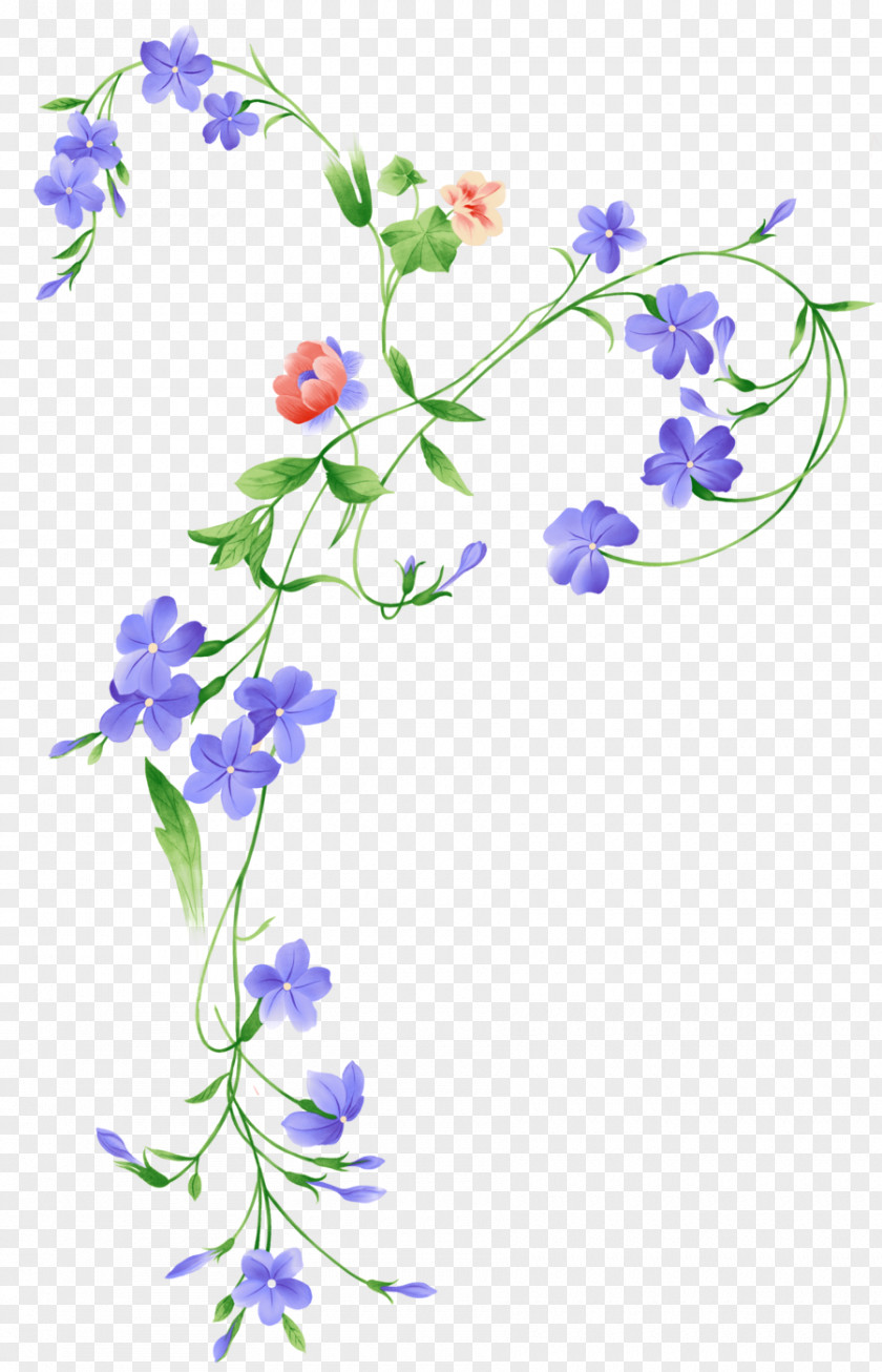 Bloom Flower Floral Design Image PNG