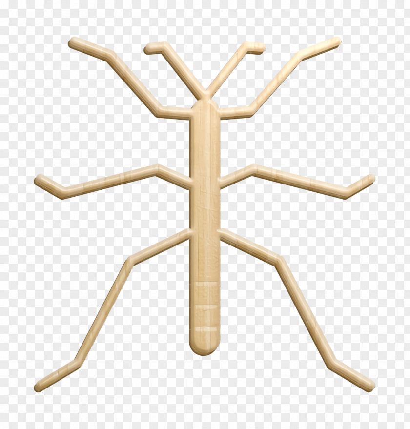 Insects Icon Walkingstick PNG