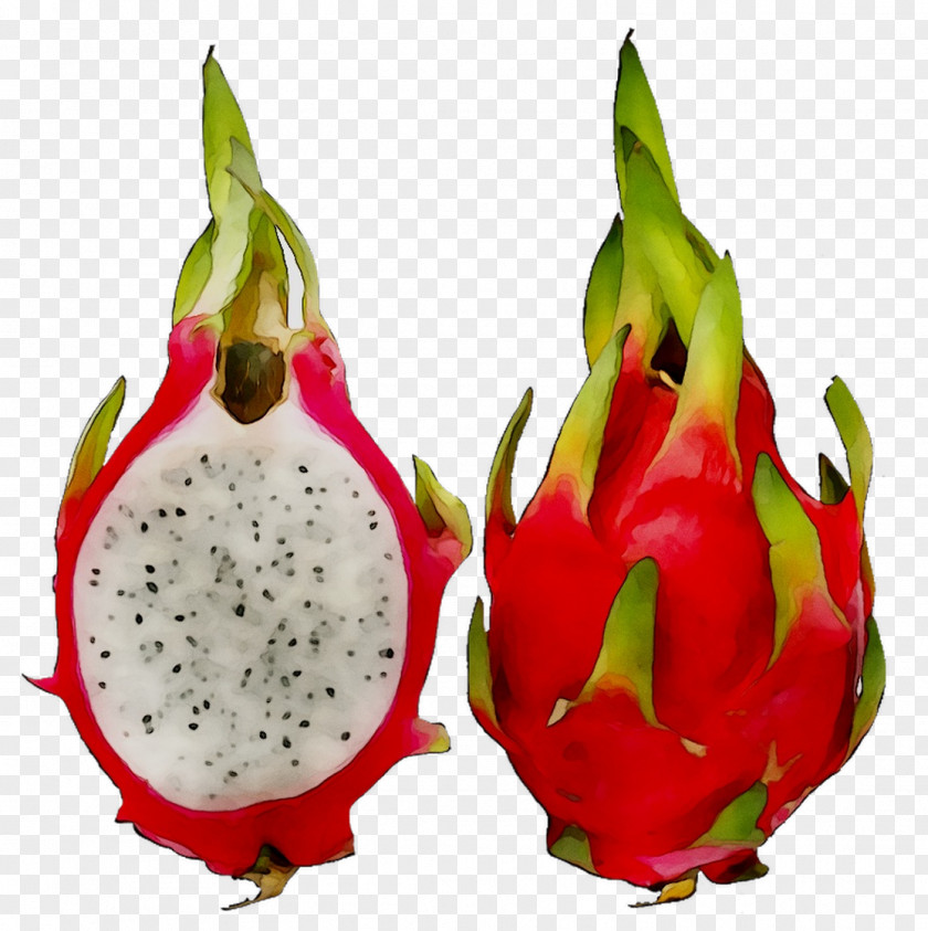 Juice White-fleshed Pitahaya Pitaya Fruit Hylocereus Megalanthus PNG