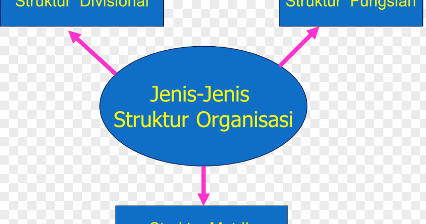 Organisasi Organizational Structure Bassist Afacere Job PNG