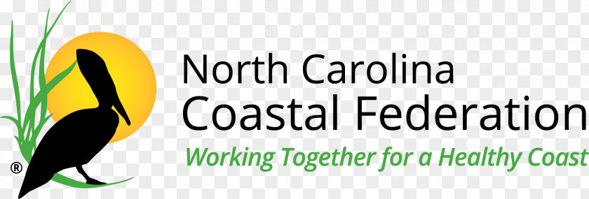 Outer Banks Manteo Wrightsville Beach North Carolina Aquariums Coastal Federation PNG