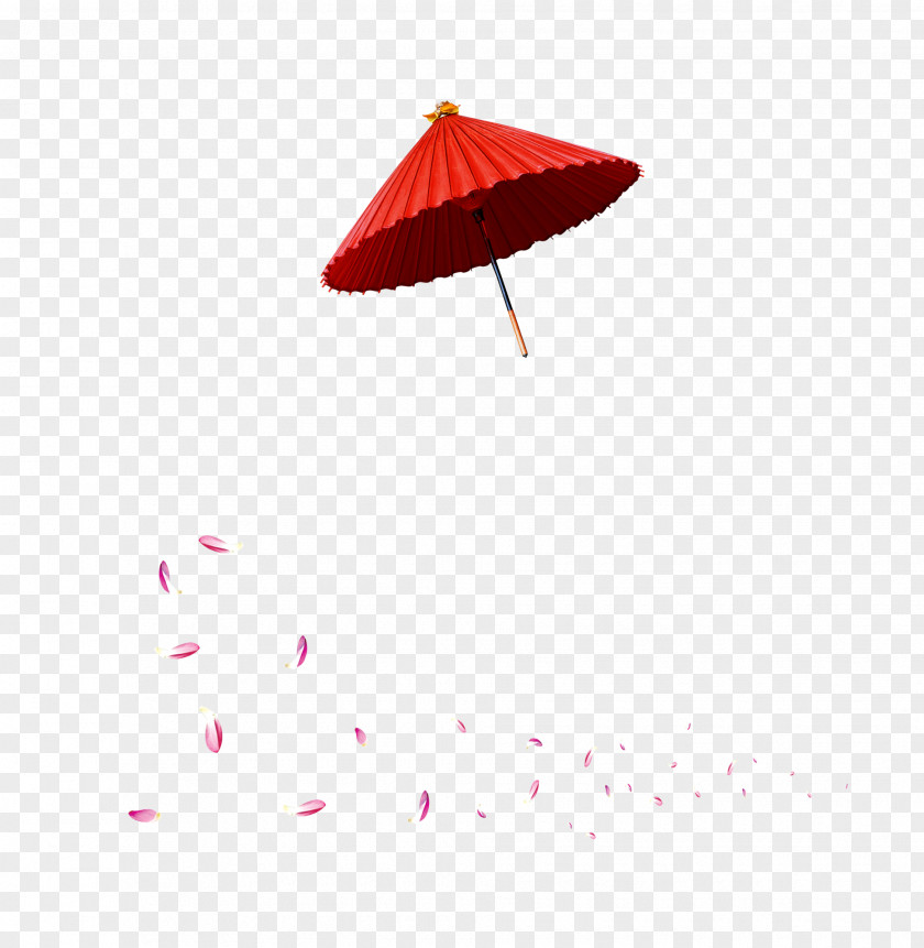 Umbrella Angle Pattern PNG