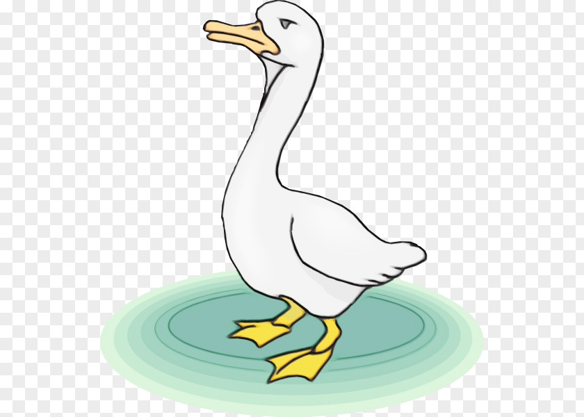 White Stork Ducks Geese And Swans Chicken Cartoon PNG