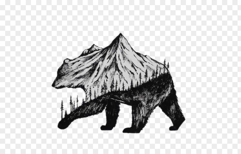 Bear With Mountains Drawing Illustrator Art Printing Illustration PNG