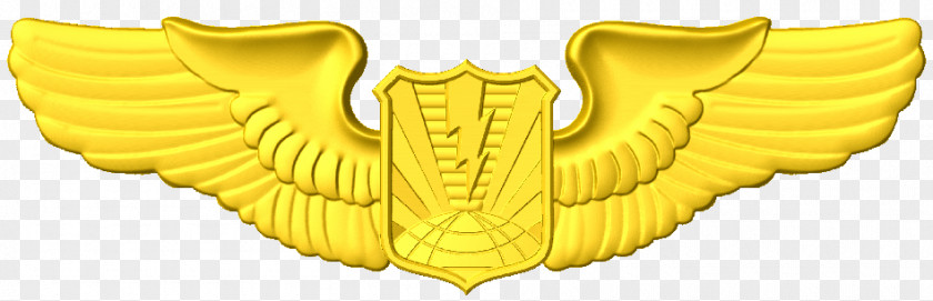 Cnc Army Aviation Wings U.S. Air Force Aeronautical Rating United States Aviator Badge Wing PNG