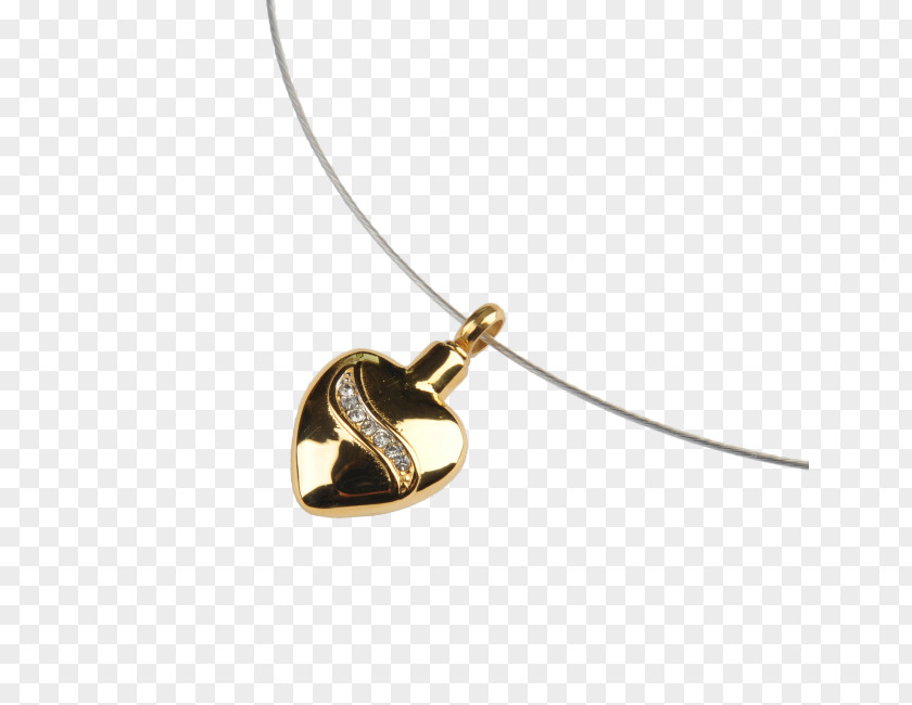 Jewellery Locket Silver Necklace Kollektion PNG