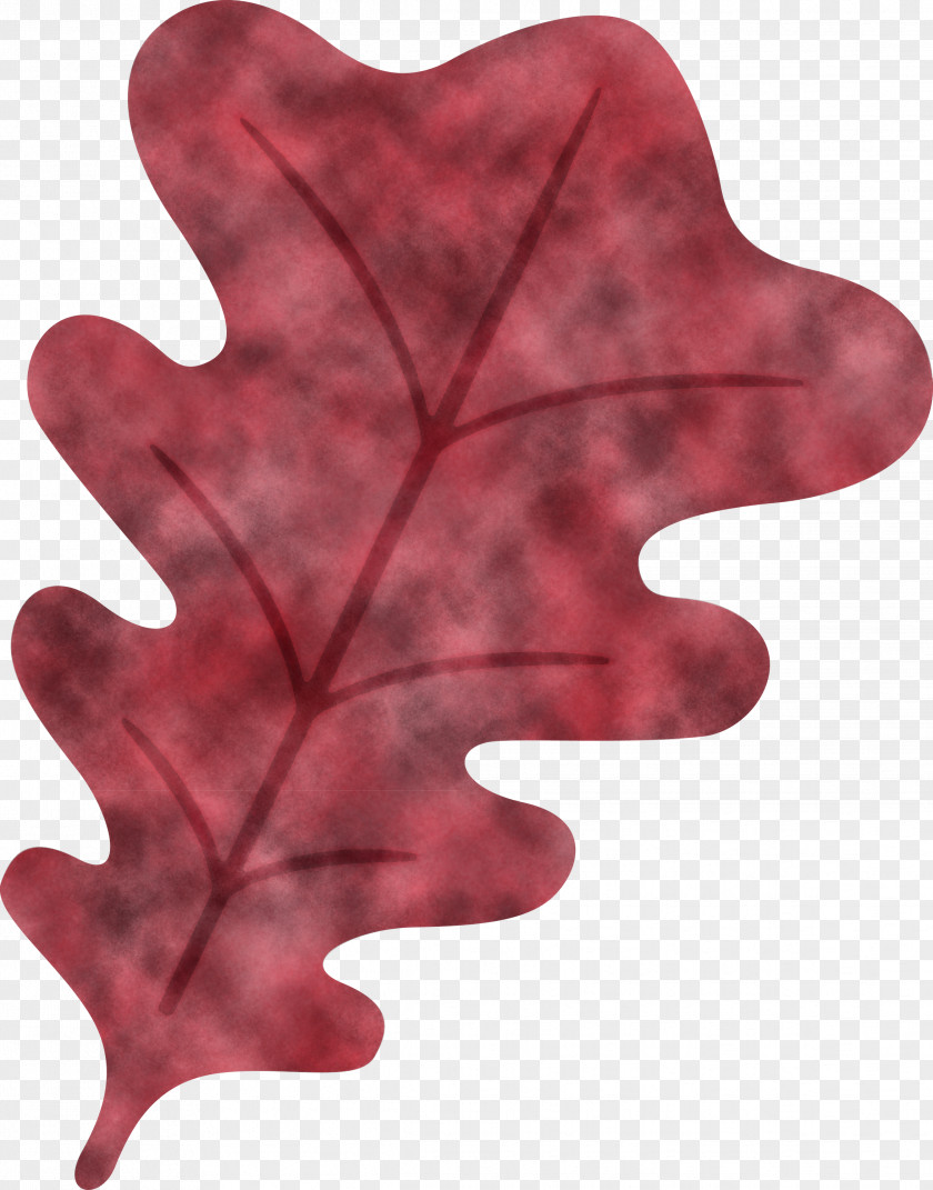 Oak Leaf PNG